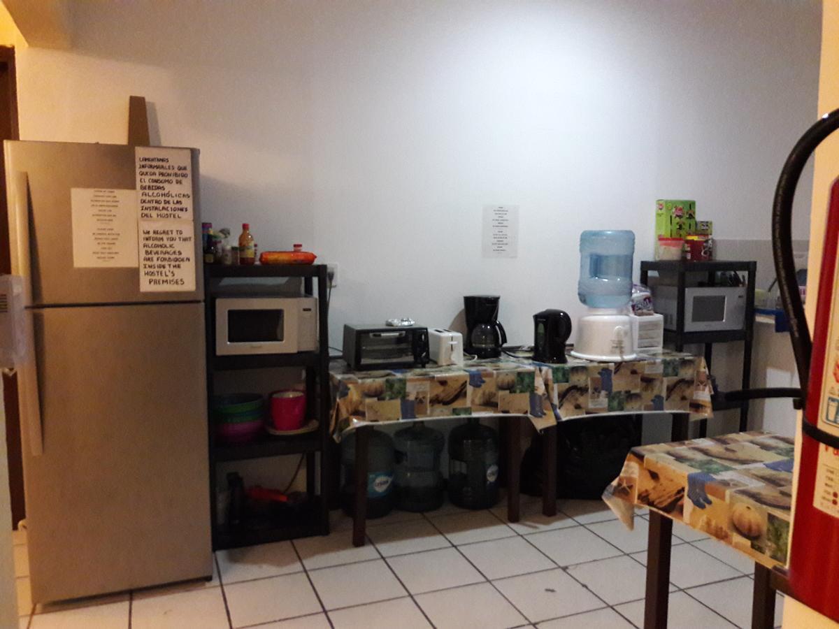 Alme Hostel ปลายาเดลการ์เมน ภายนอก รูปภาพ